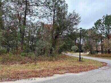 6 Shamrock Court, Homosassa, FL 34446