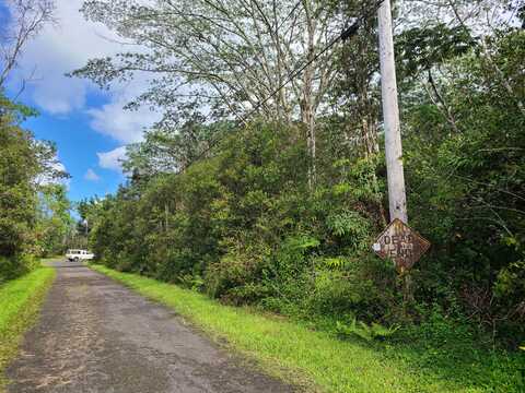 PAHOA CIRCLE, Pahoa, HI 96778