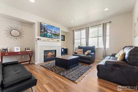 3804 Buckthorn St, Wellington, CO 80549