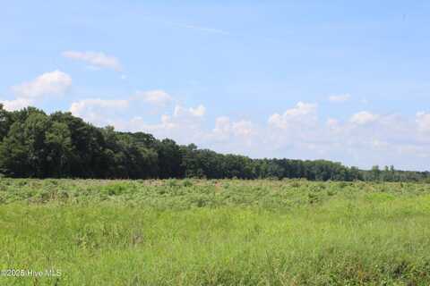Lot 1 Whaley Road, Kinston, NC 28501