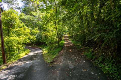 12116 Henry Frye Way, Knoxville, TN 37922