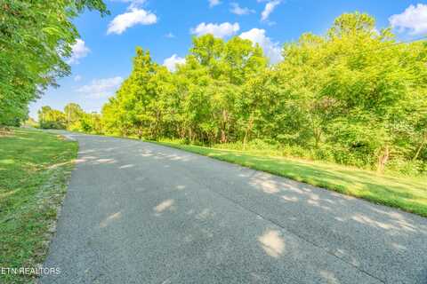 Lot 3 Shanghai Landing Lane, La Follette, TN 37766