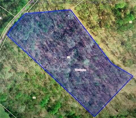 0 Board Run Road, Sandyville, WV 25275