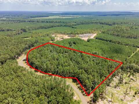 Lot #36 Eagles Nest, Broaddus, TX 75929