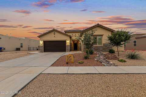 3749 Talon Avenue, Las Cruces, NM 88012