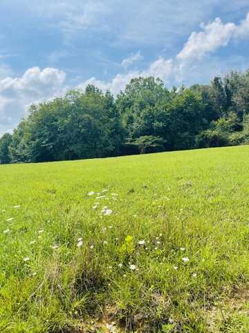 Tract Meadowstone Way, Corbin, KY 40701