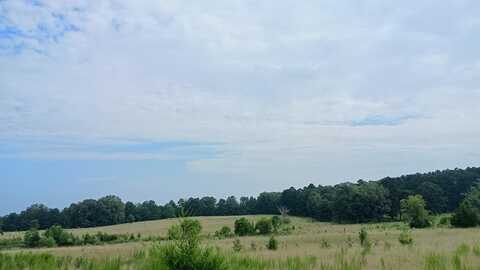 5661 1/2 HWY 14, Louisville, MS 39339