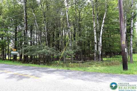 974 v Stony Mountain, Penn Forest Twp, PA 18210