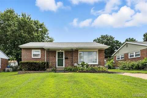 7024 Parkwood Street, Saint Louis, MO 63116
