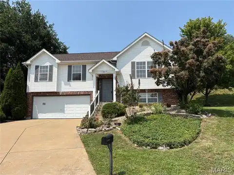 20 Concord Drive, Crystal City, MO 63019