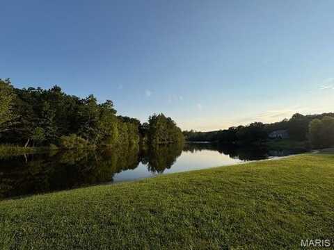 5665 Forest Drive, Hillsboro, MO 63050