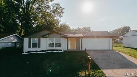 3005 West Boulevard, Belleville, IL 62221