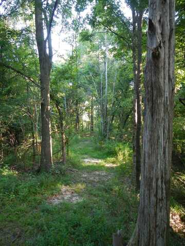 330 Honeycutt Road, Yazoo City, MS 39194