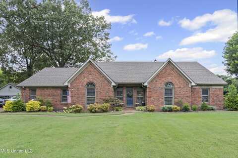 9095 Willow Branch Drive, Olive Branch, MS 38654