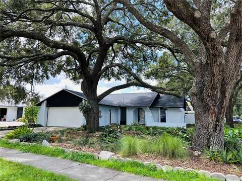 16134 RAVENDALE DRIVE, TAMPA, FL 33618