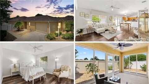 610 DANBURY STREET, THE VILLAGES, FL 32162