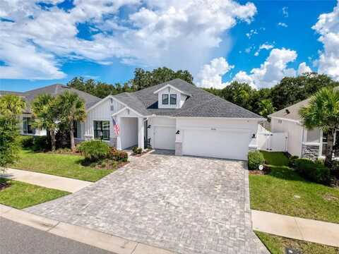 6204 NIKKI LANE, ODESSA, FL 33556