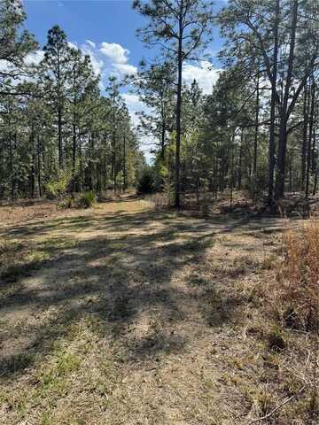 SW 156TH COURT, OCALA, FL 34481
