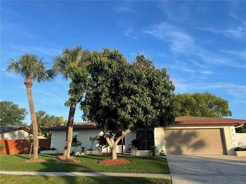8303 LOPEZ DRIVE, TAMPA, FL 33615