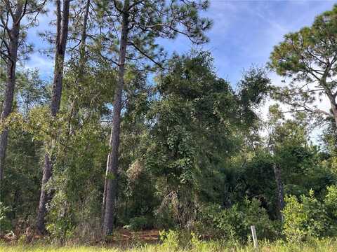 Tbd NE 11TH PLACE, WILLISTON, FL 32696