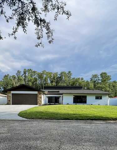4545 DEBBIE LANE, LUTZ, FL 33559