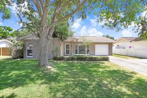 5203 LANDSMAN AVENUE, TAMPA, FL 33625