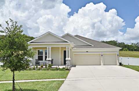 6006 CLAYSTONE WAY, MOUNT DORA, FL 32757
