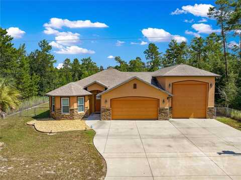 3 BAY LANE, OCKLAWAHA, FL 32179