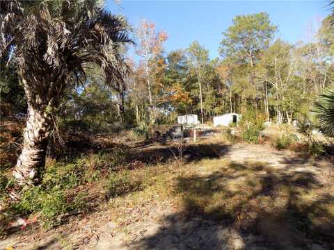 11090 107 TERRACE, ARCHER, FL 32618
