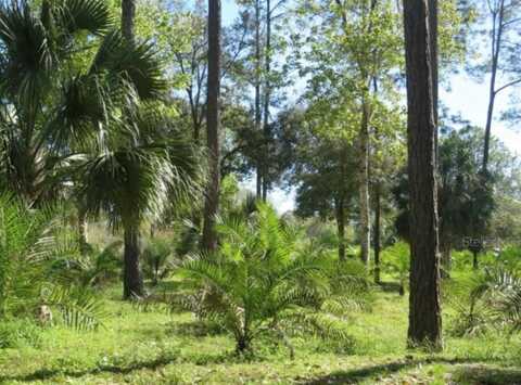 222 VIREO AVENUE, SEBRING, FL 33870