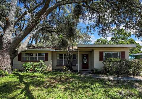 217 W BOUGAINVILLEA AVENUE, TAMPA, FL 33612