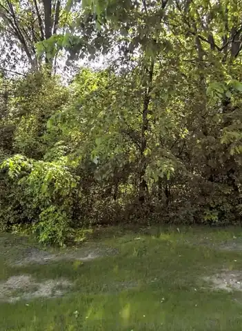 4705 Halsted, West Bloomfield, MI 48323