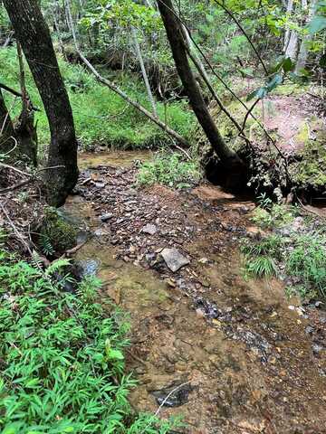 TBD Sheep Knob, BRASSTOWN, NC 28906