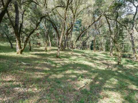 35000 Robinson Canyon RD, CARMEL VALLEY, CA 93923
