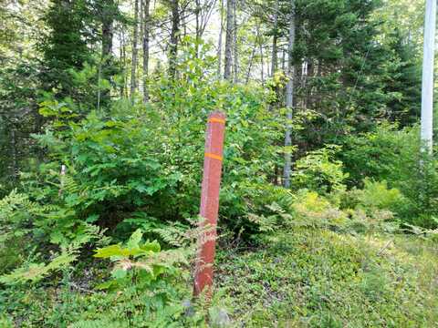 Tbd Edinburg Road, Edinburg, ME 04448