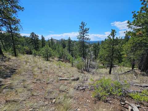 NHN Upper Sawmill Creek Road, Cascade, MT 59421