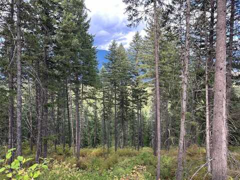 NHN MT Hwy 200, Trout Creek, MT 59874