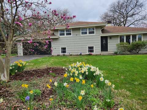 7516 Main Street, Darien, IL 60561