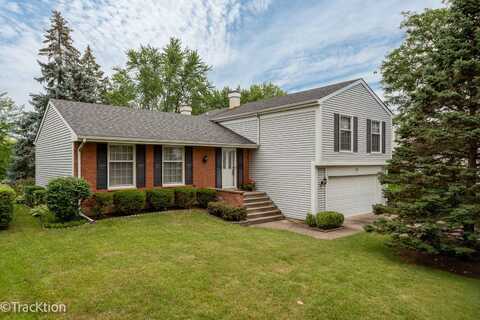 121 N Walnut Lane, Schaumburg, IL 60194