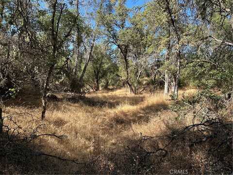 4275 Ashworth Road, Mariposa, CA 95338