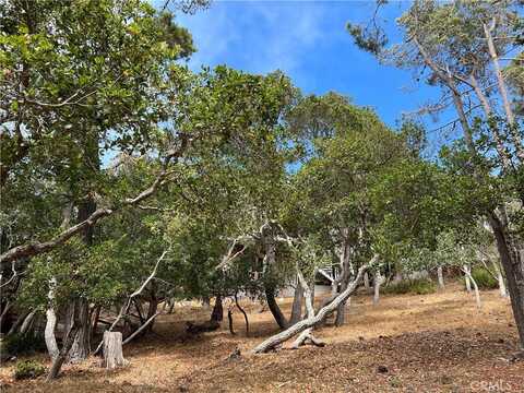 0 Norwich Avenue, Cambria, CA 93428