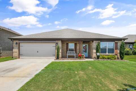 117 Heritage Way Drive, Toney, AL 35773