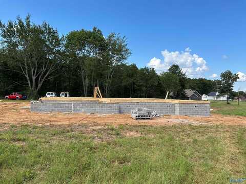 75 Dale Street, Scottsboro, AL 35769