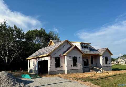 75 Dale Street, Scottsboro, AL 35769