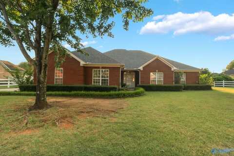 24874 Mahalo Circle, Madison, AL 35756