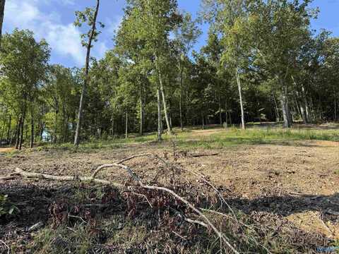 .39 Acres County Road 594, Leesburg, AL 35983