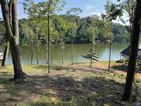 .39 Acres County Road 594, Leesburg, AL 35983