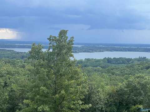 Lot 43 County Road 1016, Cedar Bluff, AL 35959