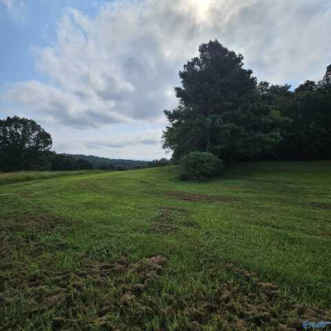 Lot 1 Richards Road, Somerville, AL 35670