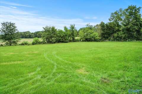 Lot 1 Richards Road, Somerville, AL 35670